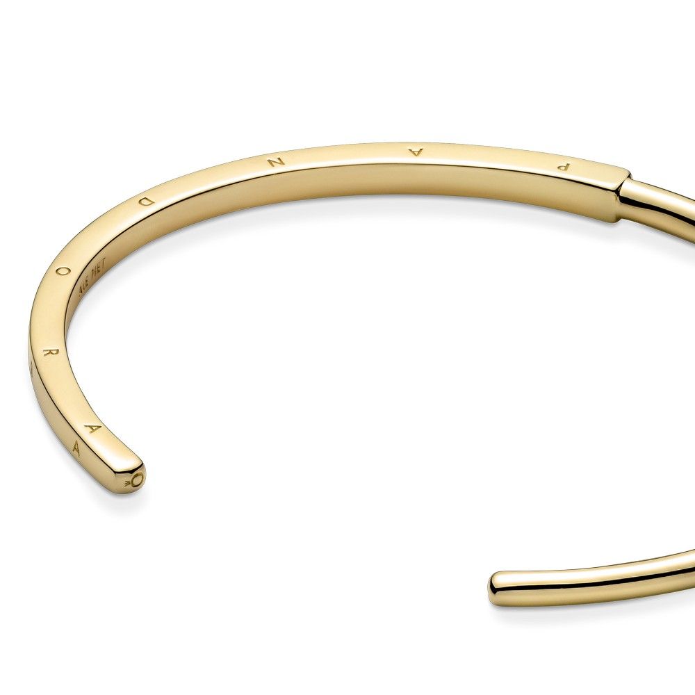 Pandora Pandora Signature I-D bangle 569493C00, exclusief en kwalitatief hoogwaardig. Ontdek nu!