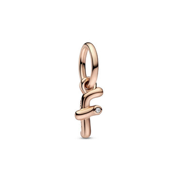 Pandora Moments Hangende bedel 782532C01