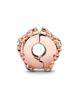 Pandora Pink Daisy Spacer Clip Charm 788809C01, exclusief en kwalitatief hoogwaardig. Ontdek nu!