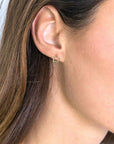 Zinzi zilveren oorknoppen 14K geelverguld open ster 8mm ZIO2092G, exclusief en kwalitatief hoogwaardig. Ontdek nu!