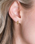 Zinzi zilveren oorknoppen 14K geel verguld veertje 10mm ZIO2212G, exclusief en kwalitatief hoogwaardig. Ontdek nu!