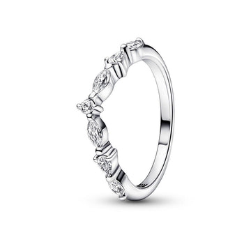 Pandora Timeless Ring 192390C01