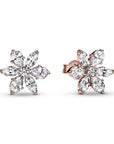 Pandora Sparkling Herbarium Cluster Stud Earrings 282407C01, exclusief en kwalitatief hoogwaardig. Ontdek nu!