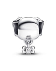 Pandora Pet Dog & Bone Bedel 792254C01, exclusief en kwalitatief hoogwaardig. Ontdek nu!