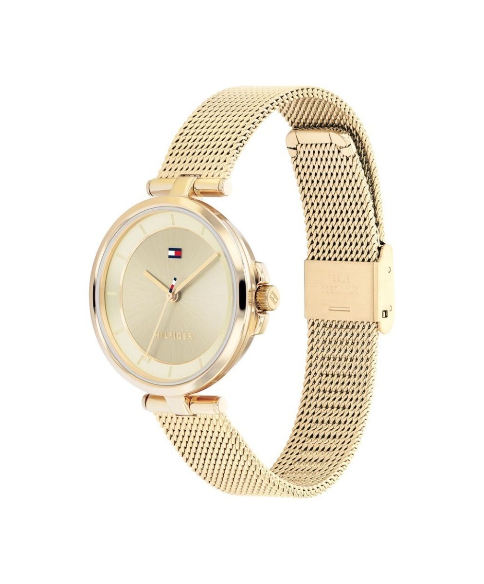 Tommy Hilfiger - TH1782286 - Horloge - Staal - Goudkleurig -, exclusief en kwalitatief hoogwaardig. Ontdek nu!