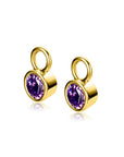 Zinzi ZICH-FEB - Gold Plated Oorbedels Met Geboortesteen Februari, exclusief en kwalitatief hoogwaardig. Ontdek nu!